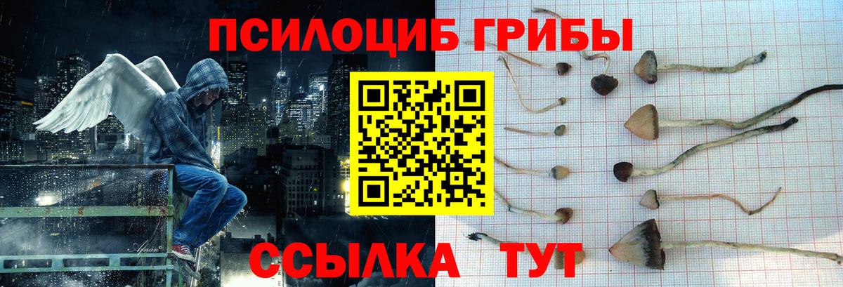 Псилоцибиновые грибы ЛСД  Вход с VPN  Галлюциногенные грибы ЛСД  Красноуфимск 